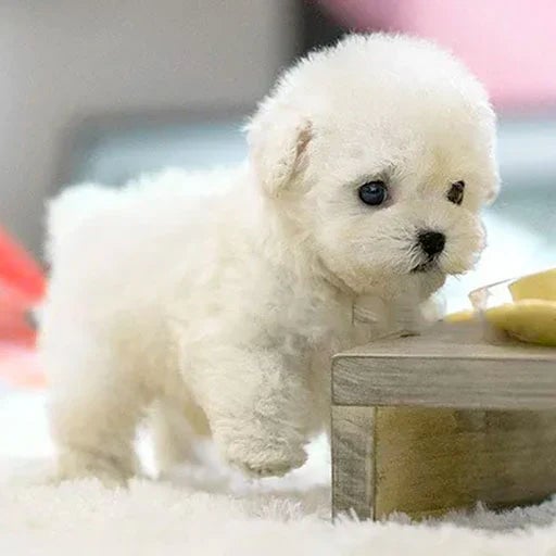Lifelike Animated Plush Dog Toy Battery Operated Soft Fur Cuddle Buddy for Kids Seniors Companion Pet Alternative