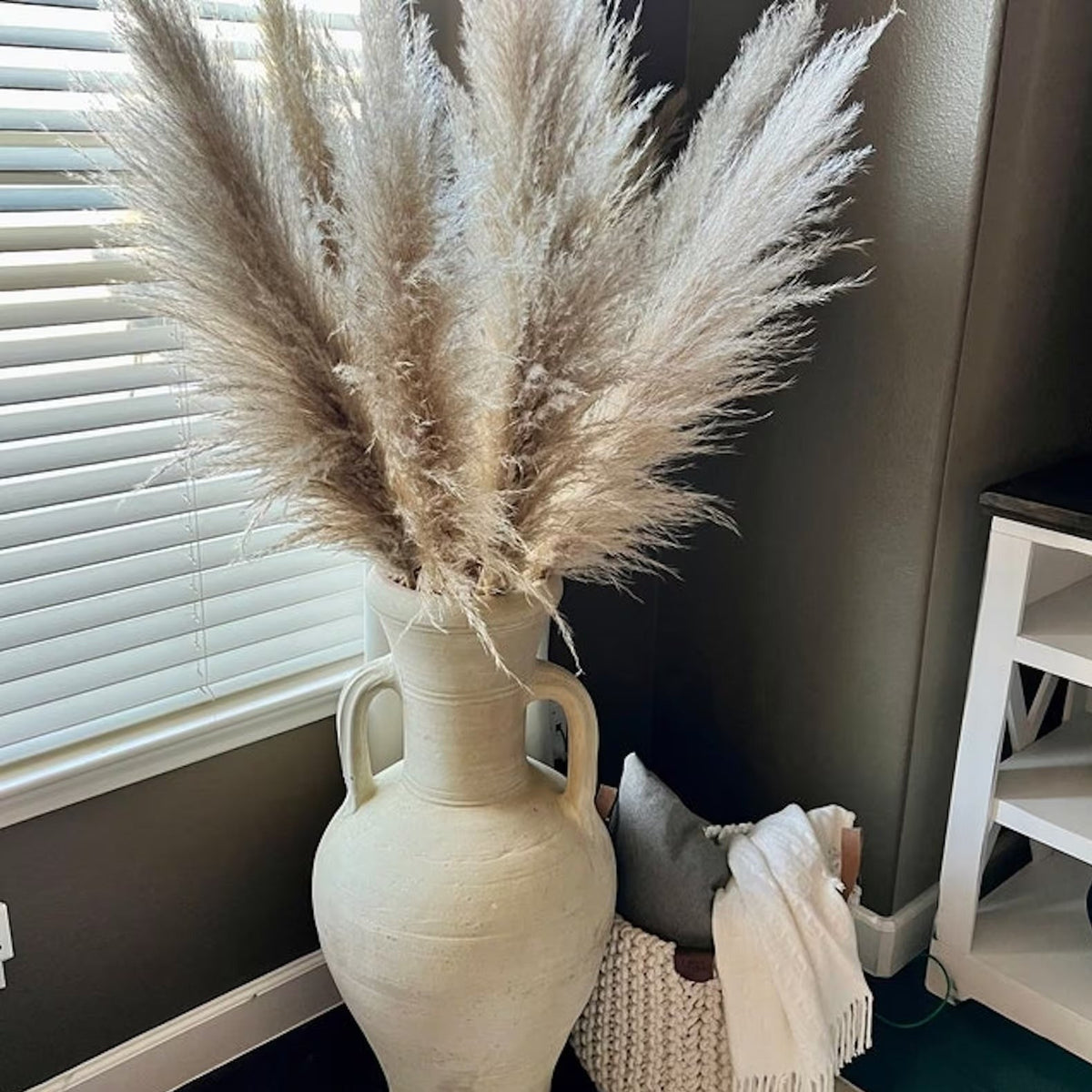 Fluffy Natural Pampas Grass Stems for Vase Displays | 16-30 Inch Dried Floral Accents for Living Room Shelf Styling Event Centerpieces Boho