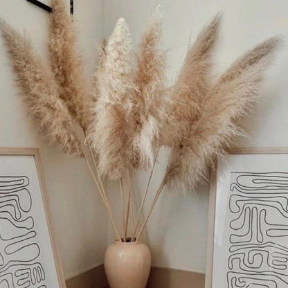 Fluffy Natural Pampas Grass Stems for Vase Displays | 16-30 Inch Dried Floral Accents for Living Room Shelf Styling Event Centerpieces Boho