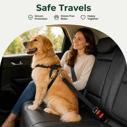 Ortekor Adjustable Nylon & Zinc Alloy Car Seat Belt