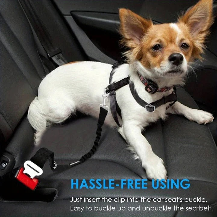 Safe Pet Car Harness with Padded Restraint and Shock Absorber