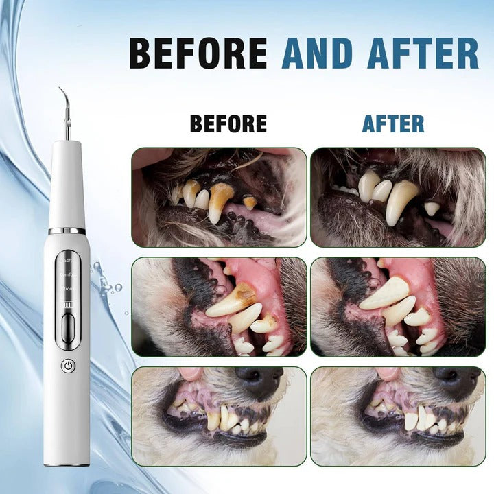 Easy Pet Teeth Cleaner for Dogs