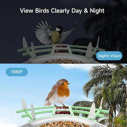 Smart Bird Feeder with WiFi Camera