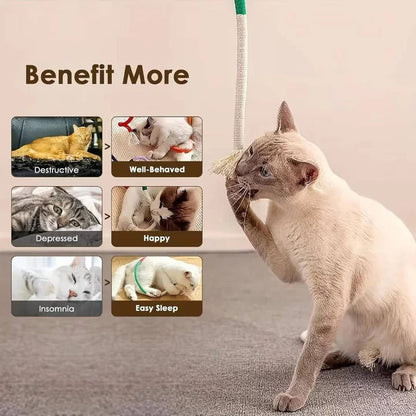 Fun Cat Toy Set with Crinkle Balls and Rope
