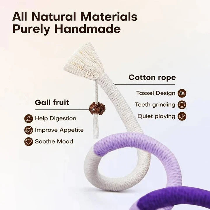 Fun Cat Toy Set with Crinkle Balls and Rope