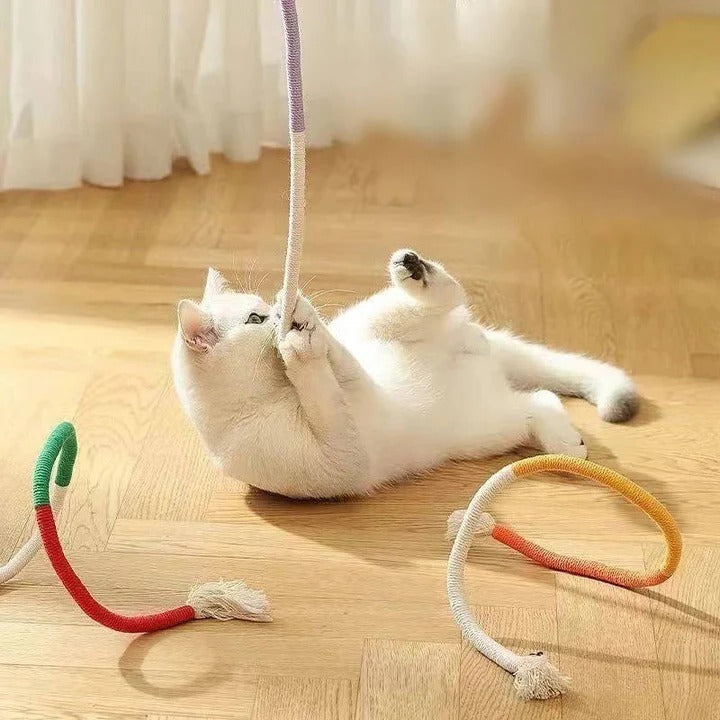 Fun Cat Toy Set with Crinkle Balls and Rope