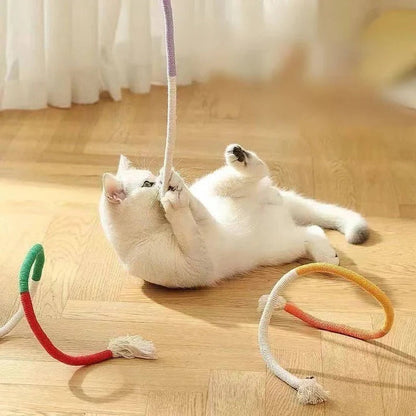Fun Cat Toy Set with Crinkle Balls and Rope