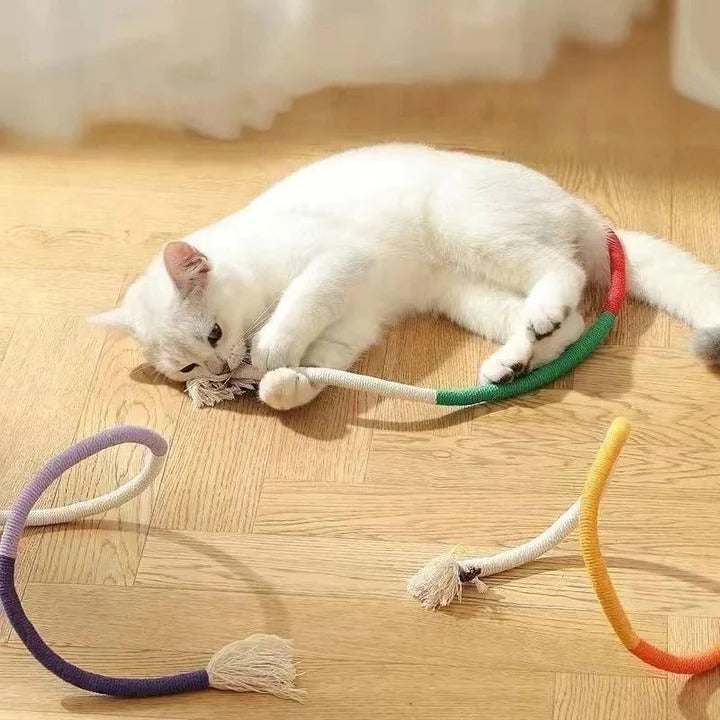 Fun Cat Toy Set with Crinkle Balls and Rope