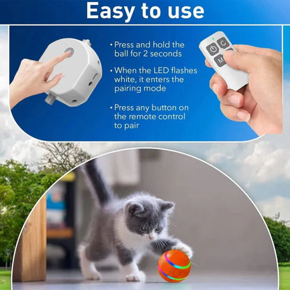 Fun Pet Ball Toy with Moving Action