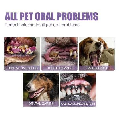Natural Dog Dental Gel for Healthy Teeth and Gums