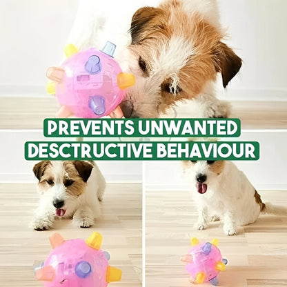 Fun Interactive Bouncing Dog Ball Toy