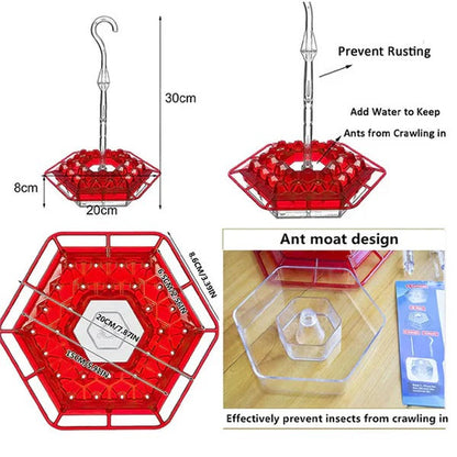 Colorful Bird Feeder with Built-in Ant Trap
