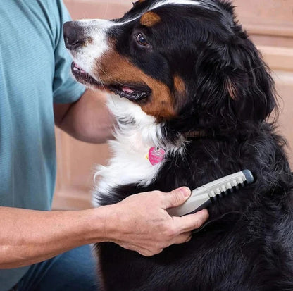 Easy Pet Detangling Hair Brush Tool