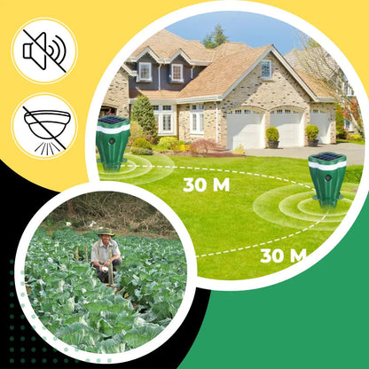 Effective Outdoor Rodent Repellent System