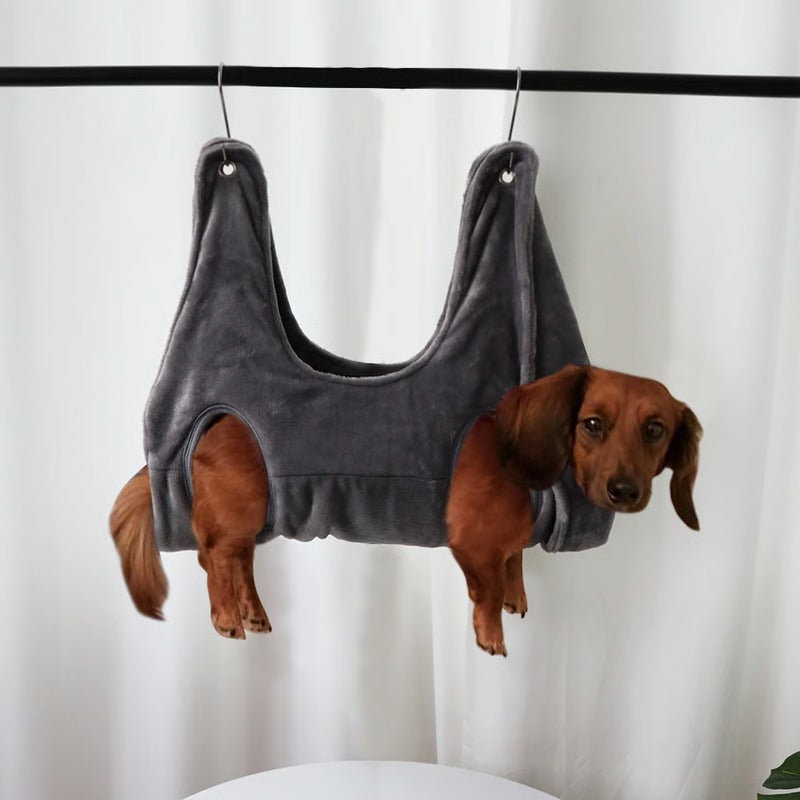 Easy Pet Grooming Table for Dogs Nail Care