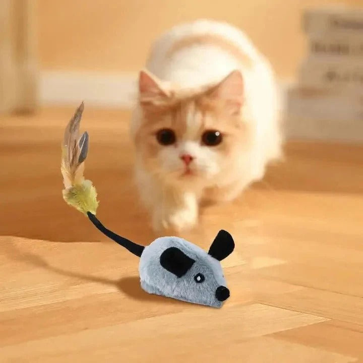 Interactive LED Cat Toy for Indoor Pets