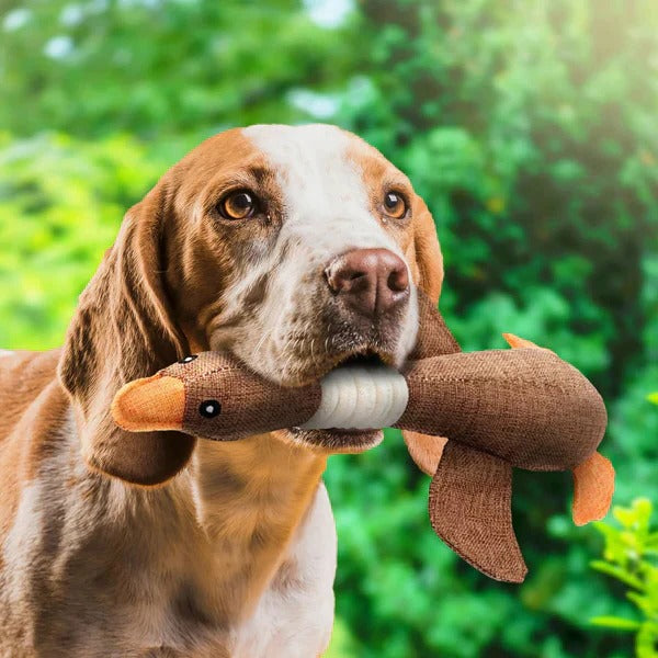 Tough Plush Toy and Durable Pet Chew