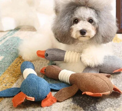 Tough Plush Toy and Durable Pet Chew