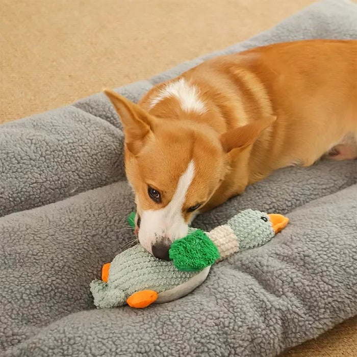 Tough Plush Toy and Durable Pet Chew