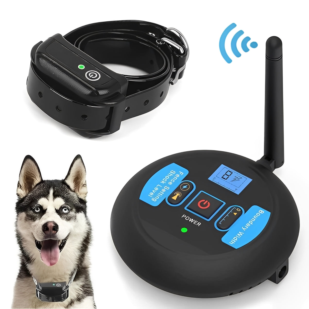 Pet Training Barrier and Outdoor Coaching System