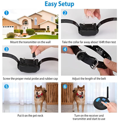 Pet Training Barrier and Outdoor Coaching System