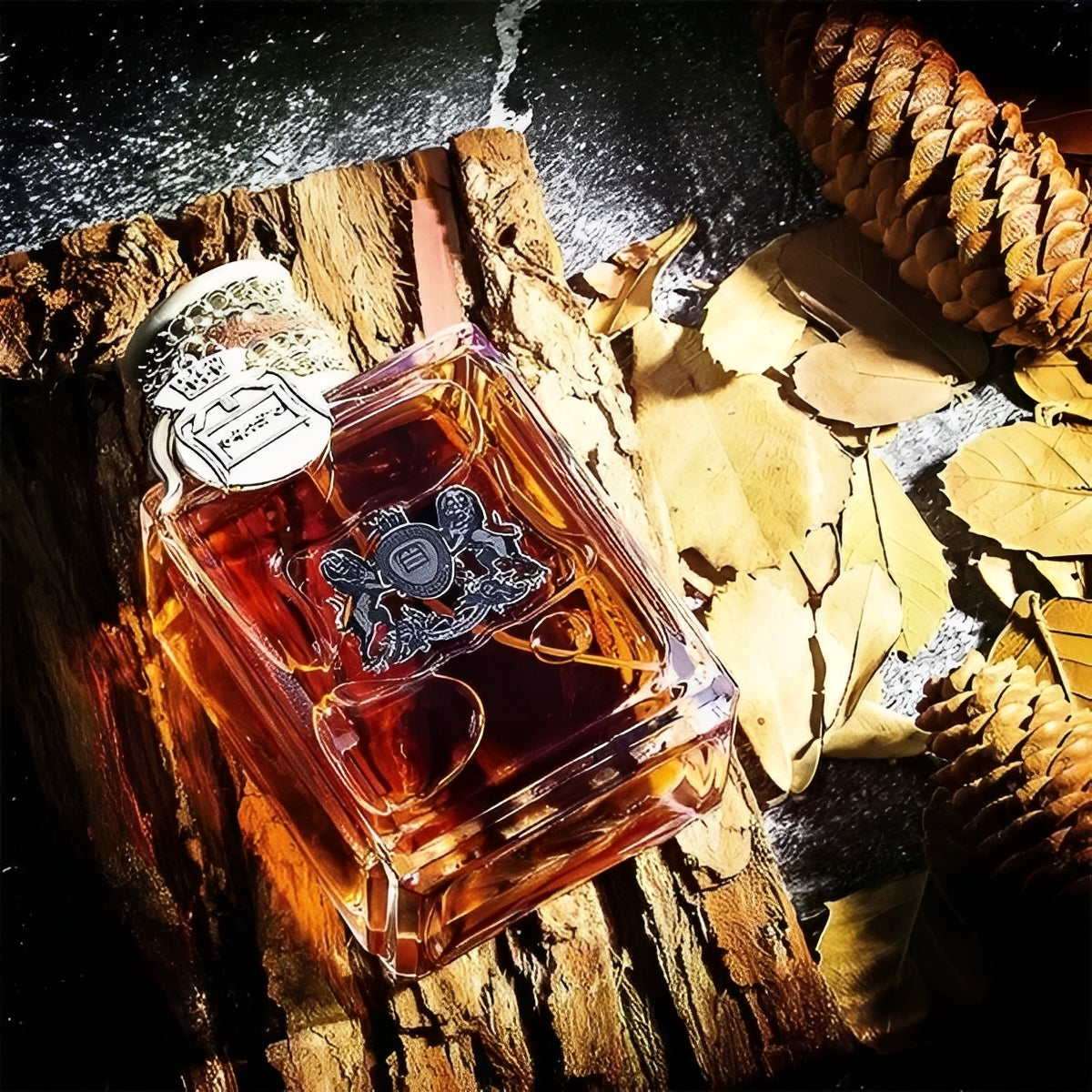 Attractive Men's Everyday Cologne Spray
