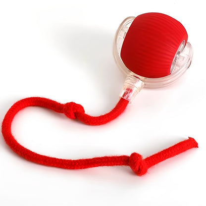 Interactive Rolling Pet Toy with Feather Teaser Tail