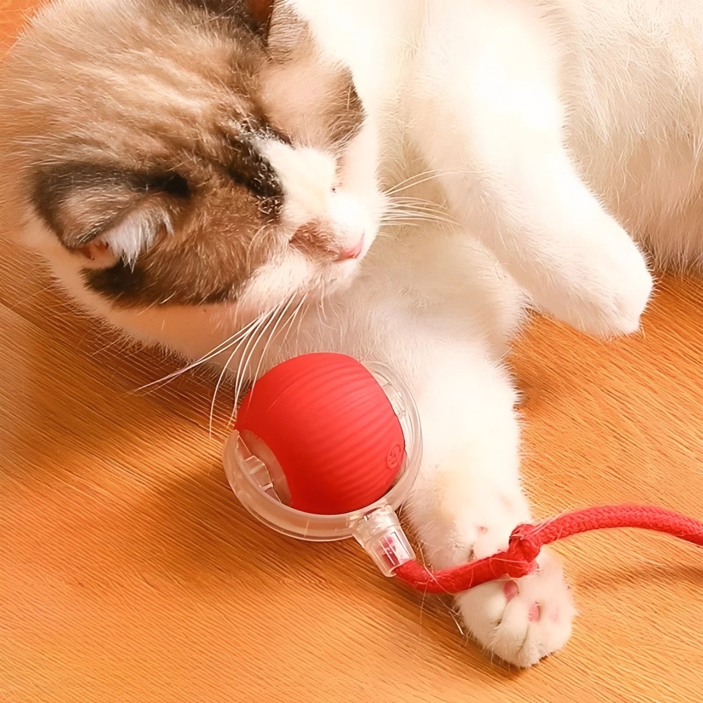 Interactive Rolling Pet Toy with Feather Teaser Tail