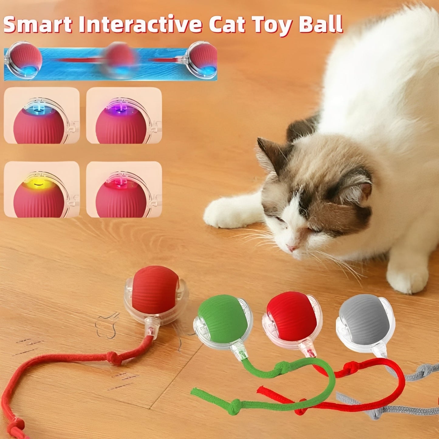 Interactive Rolling Pet Toy with Feather Teaser Tail