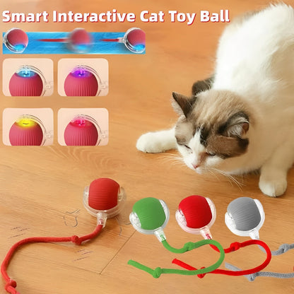 Interactive Rolling Pet Toy with Feather Teaser Tail