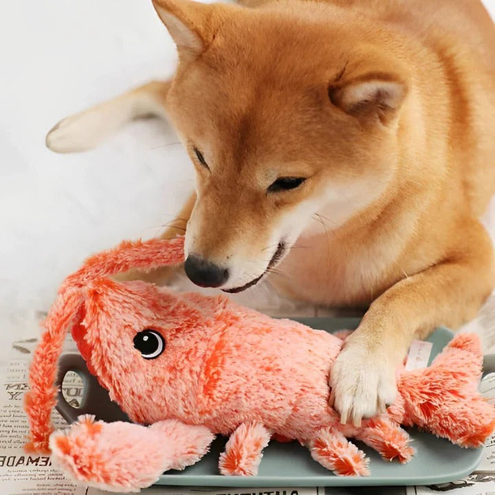 Fun Moving Lobster Dog Toy with Sensor Activation - Ortekor