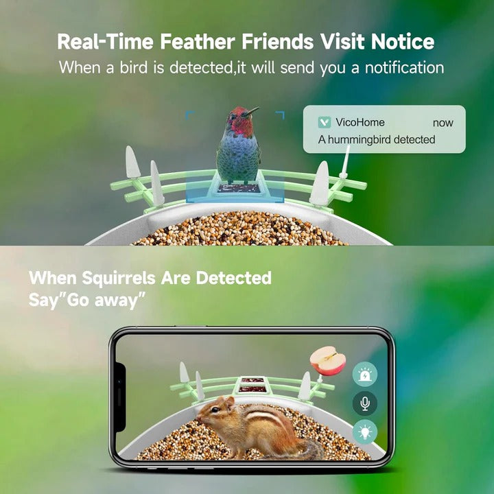 Wireless Bird Feeder with Camera and Solar Power