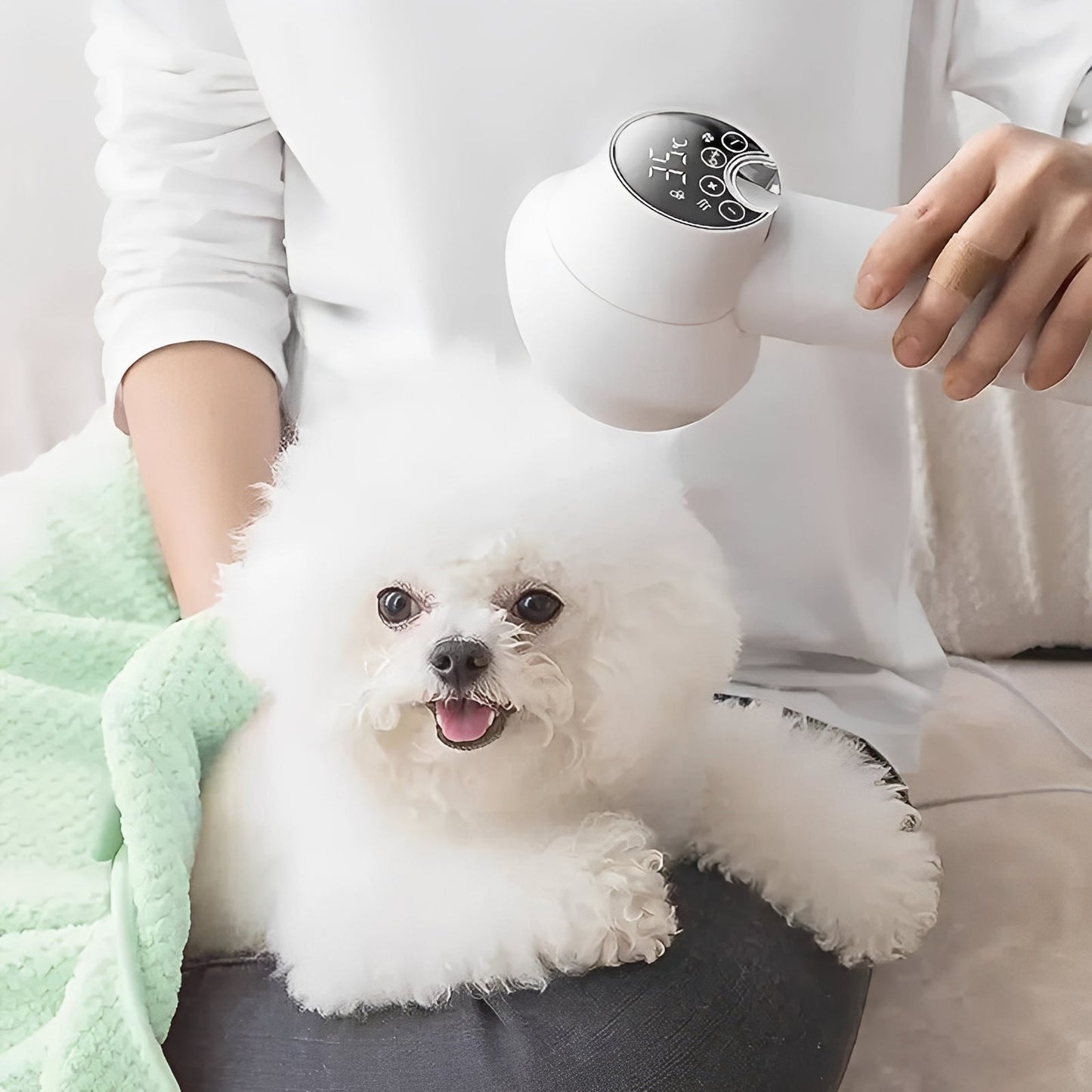 Fast Dog Hair Dryer and Grooming Kit - Ortekor