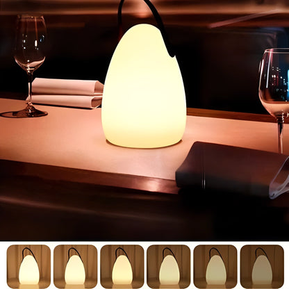 Portable Rechargeable Desk LED Light