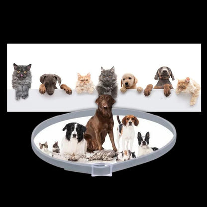 Effective Pet Tick and Flea Control Collar