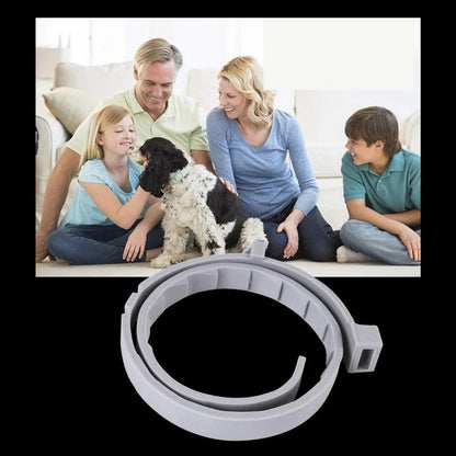 Effective Pet Tick and Flea Control Collar