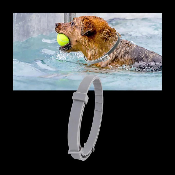 Effective Pet Tick and Flea Control Collar