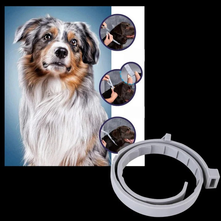 Effective Pet Tick and Flea Control Collar