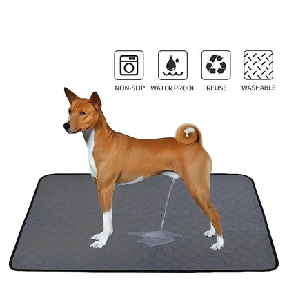 Pet Training Pads for Indoor Dog Accidents