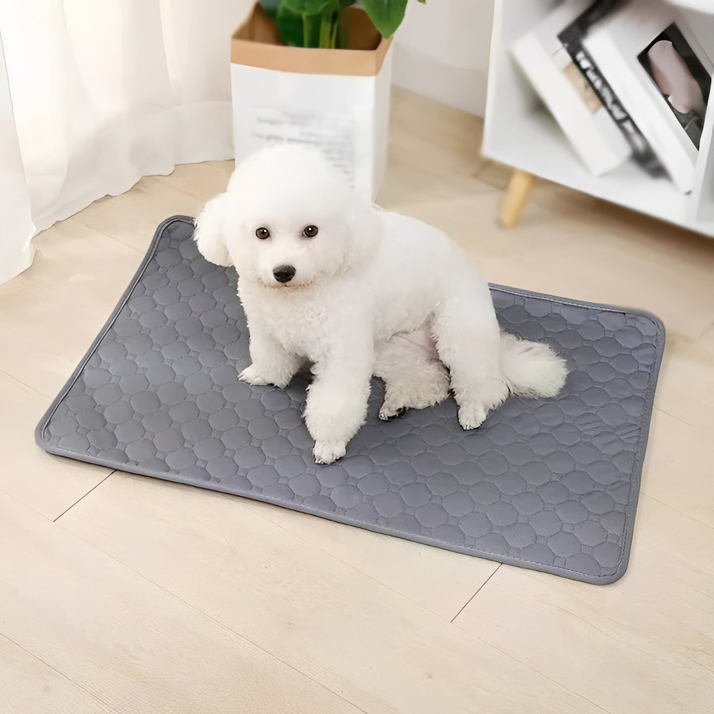 Pet Training Pads for Indoor Dog Accidents - Ortekor