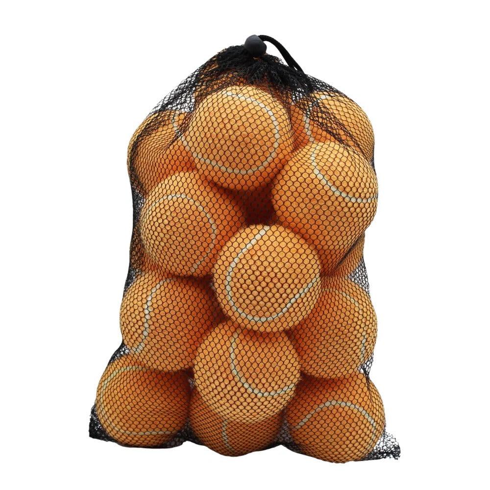 Premium Tennis Balls, 20 Pack with Net Bag