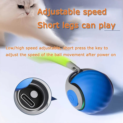 Automatic Interactive Cat Toy with Feather Teaser, 2 Pack