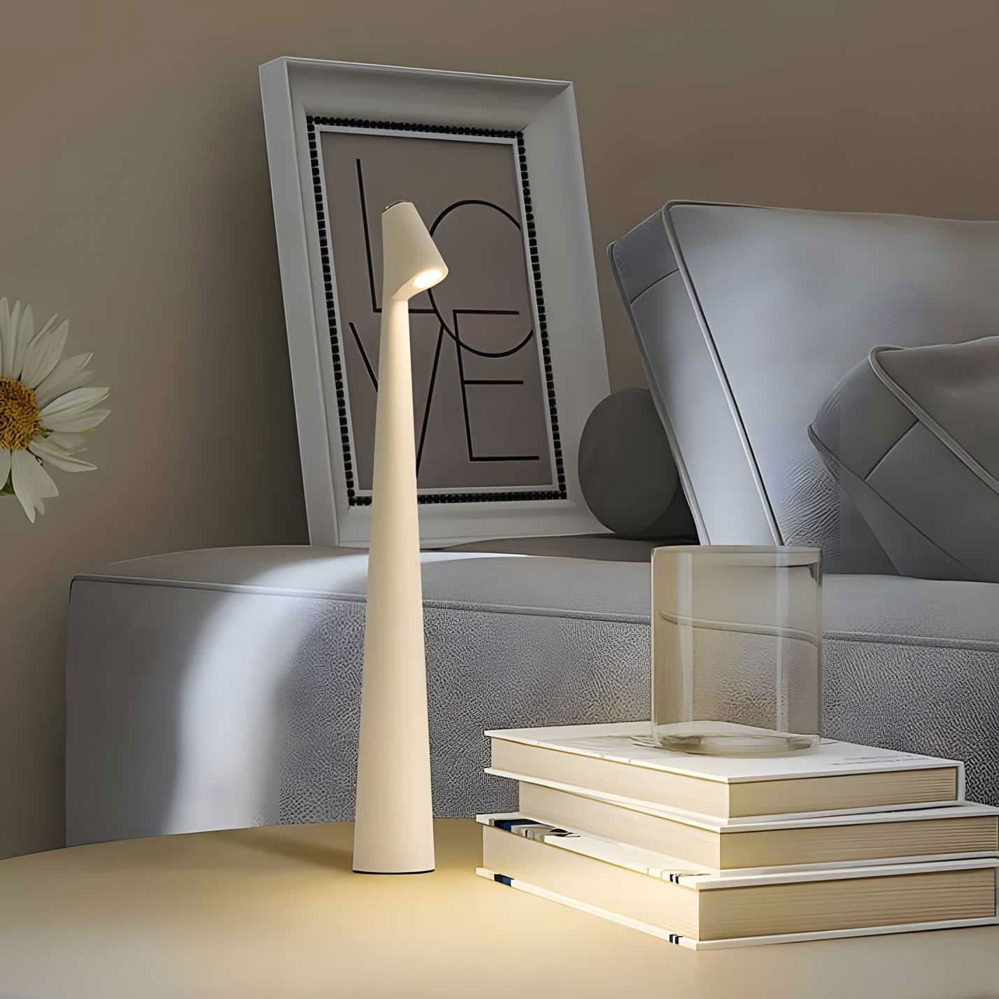 Portable Metal Office Lamp with Adjustable Brightness and USB Port