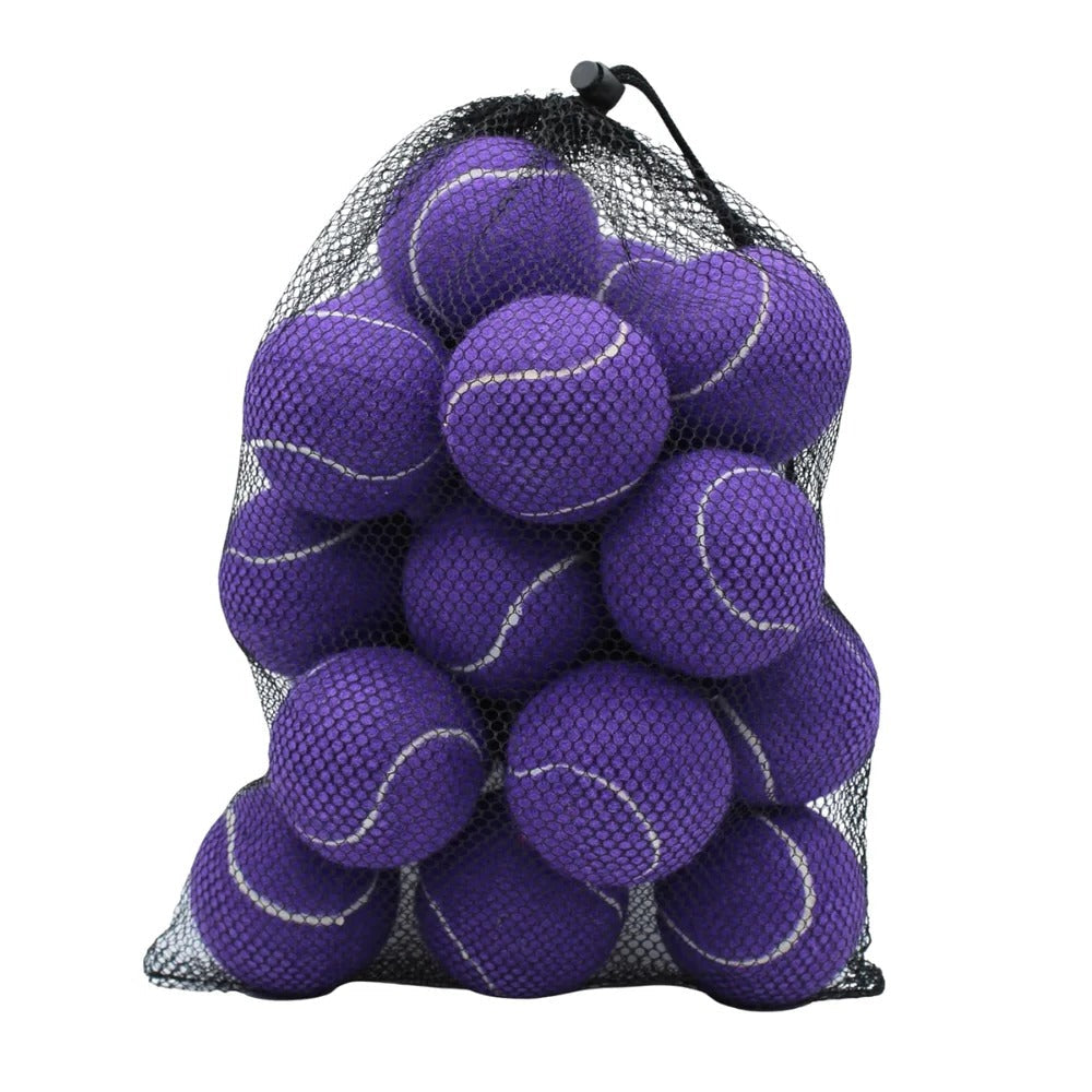 Premium Tennis Balls, 20 Pack with Net Bag