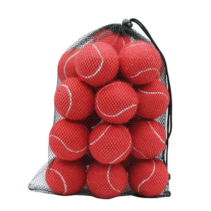 Premium Tennis Balls, 20 Pack with Net Bag