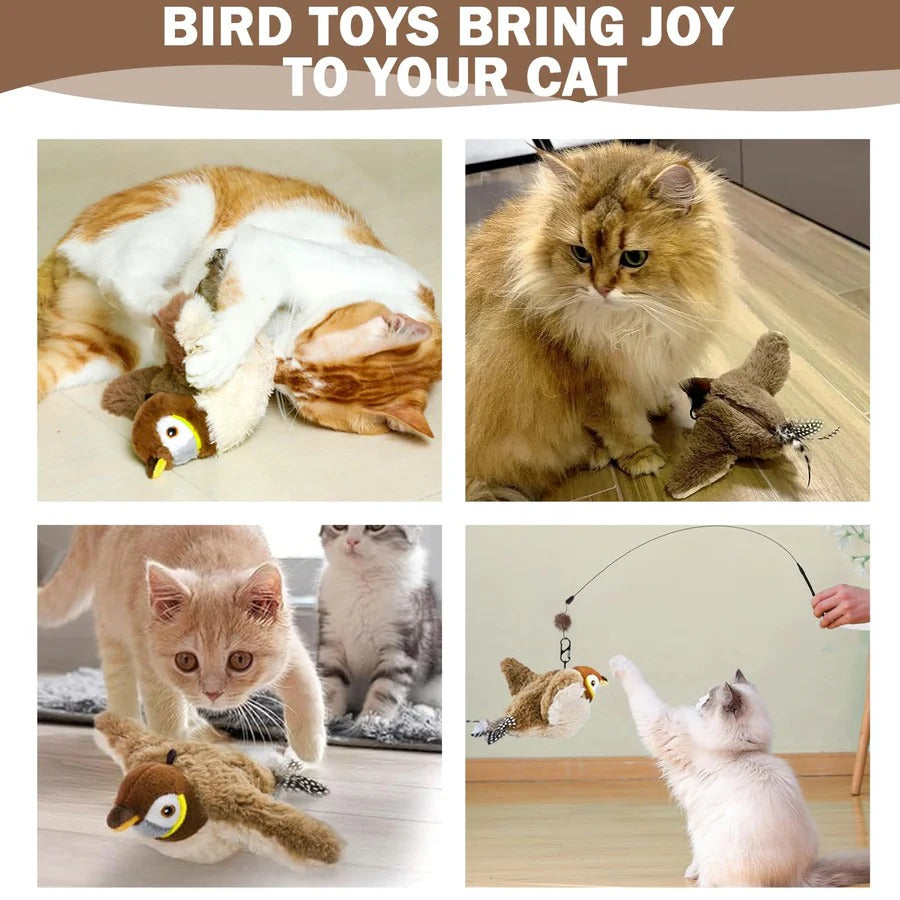 Fun Interactive Cat Toy with Feather Teaser