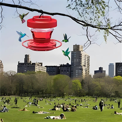 Colorful Bird Feeder with Tray and Pest Guard