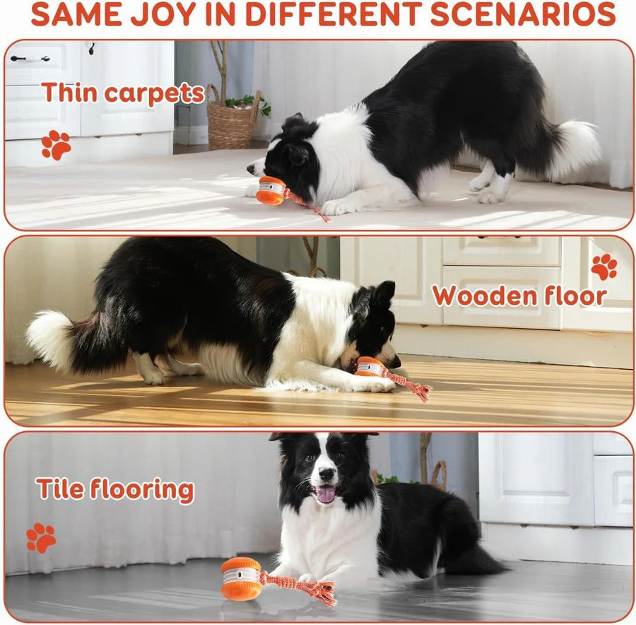Interactive Dog Toy Ball with Rope, 2 Pack Set