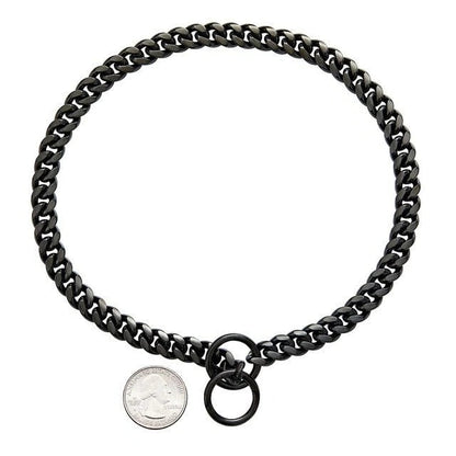 Durable Metal Puppy Collar in Various Colors