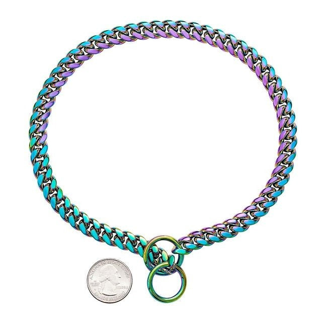 Durable Metal Puppy Collar in Various Colors